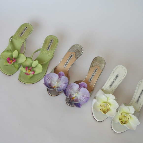 Meet your Posher, Haili - Picture 5 of 5